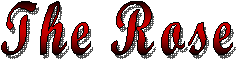 The Rose
